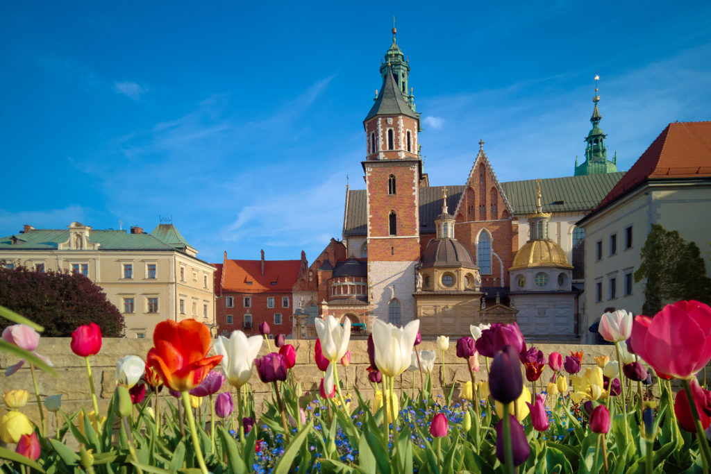 Poland, Krakow, flowers in front of Wawel Busvakantie Polen Rob Land Reizen