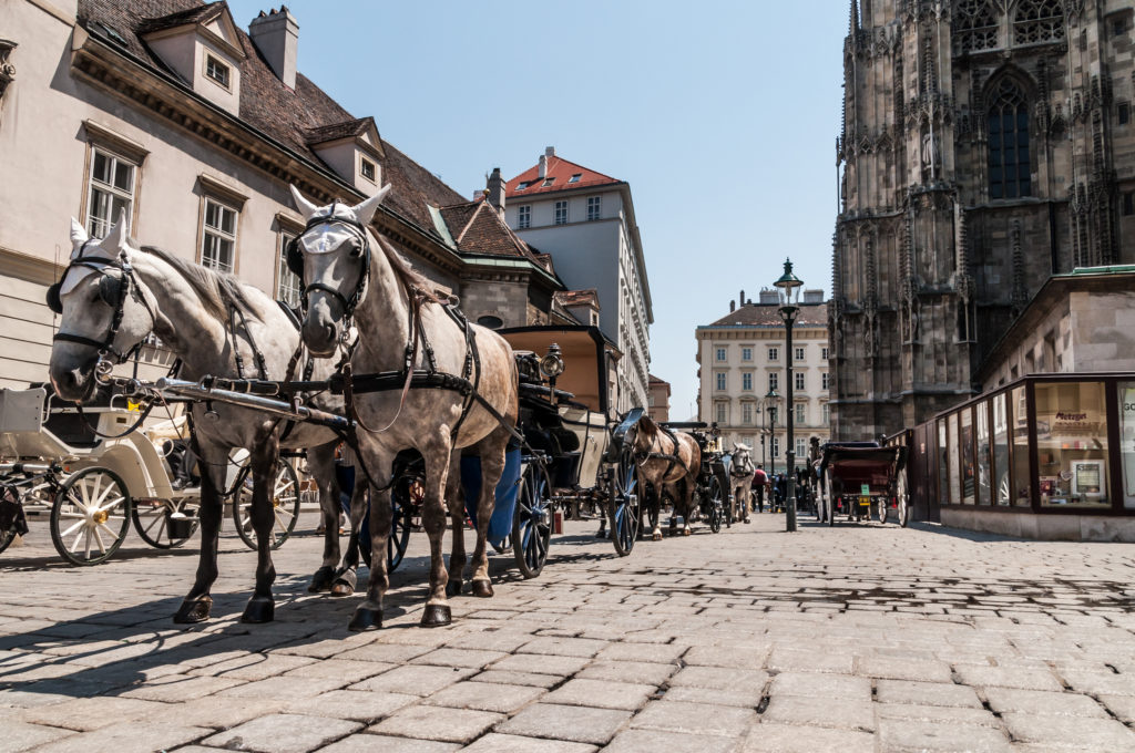 Stedentrip Wenen Rob Land Reizen